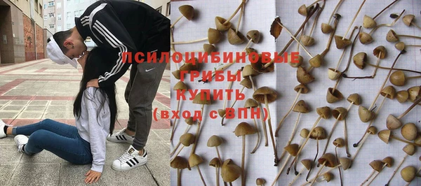 прущая мука Михайловск