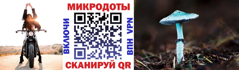 Псилоцибиновые грибы ЛСД  купить   Райчихинск 